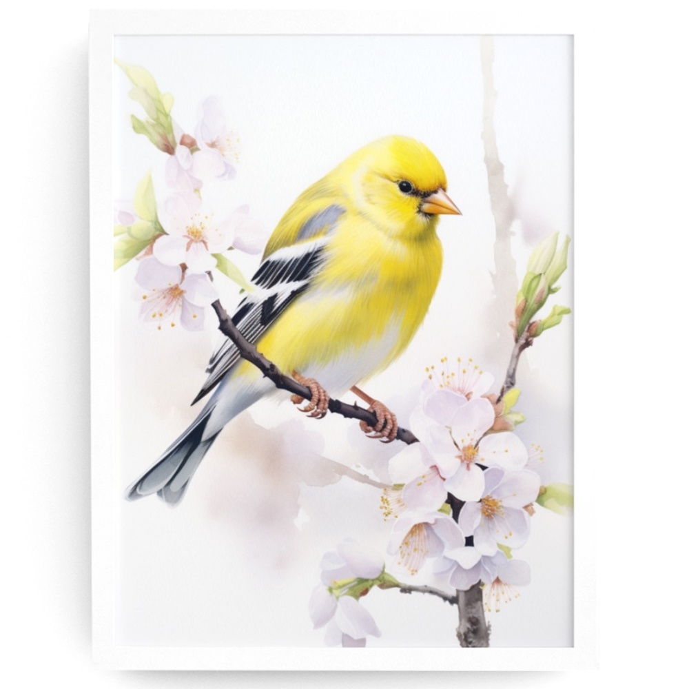 Watercolor American Goldfinch Bird Portrait Wall Art Illustration Print Unframed